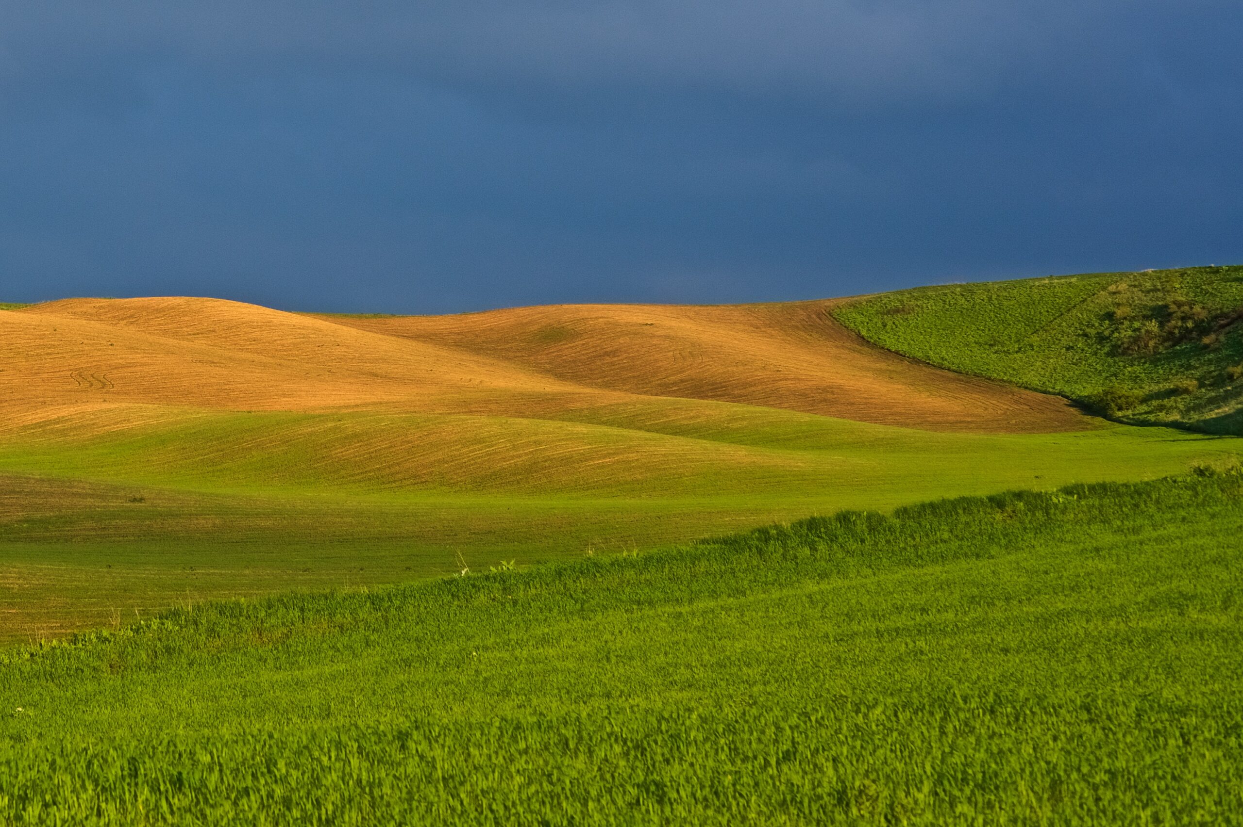 Investing with Purpose: Ethical Investment in Kyrgyzstan